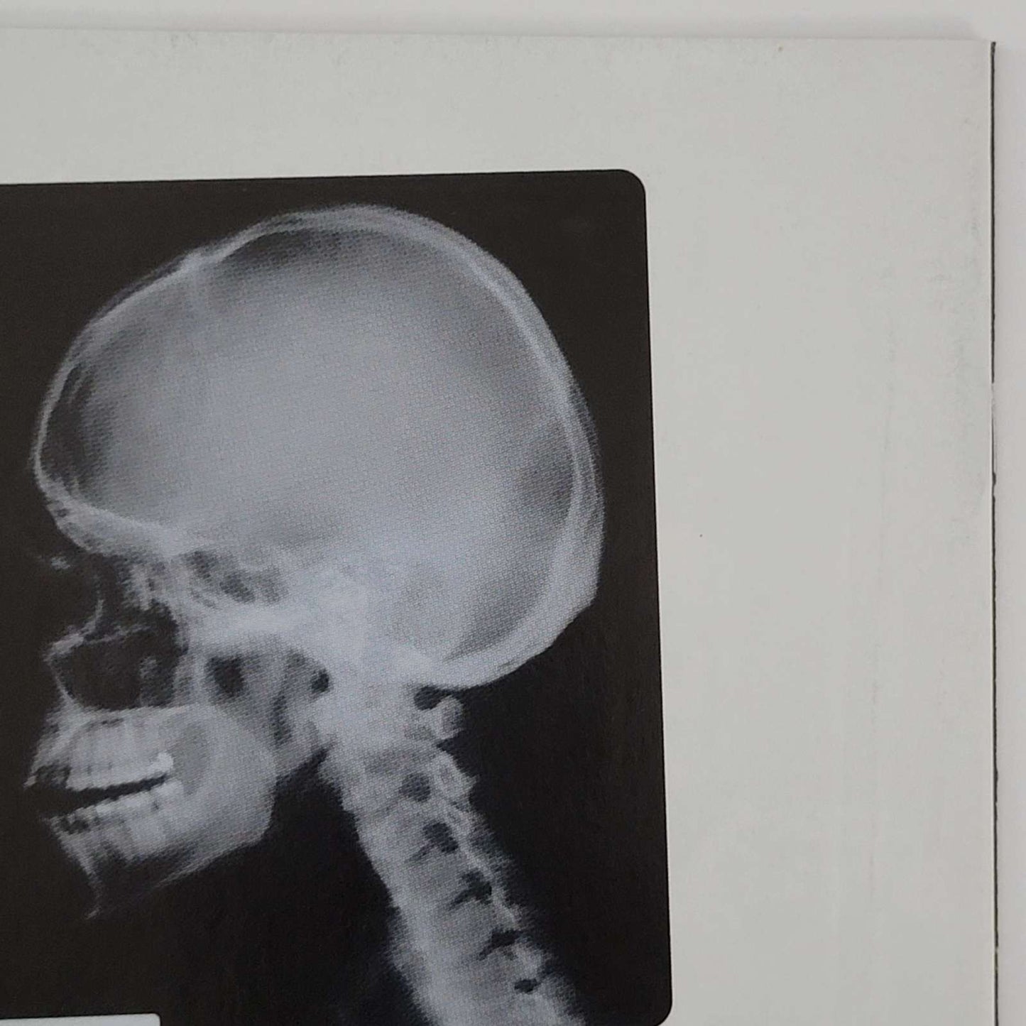 Venom: Protectores letales #2