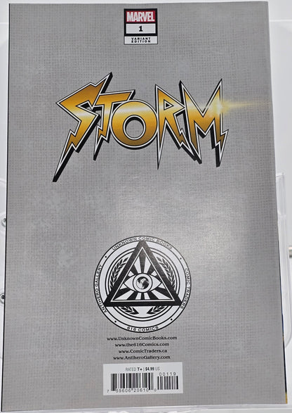 Storm Vol 2 #1 - Sabine Rich Virgin Cover