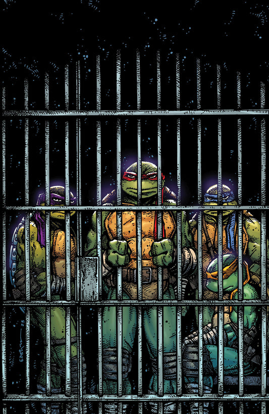 Teenage Mutant Ninja Turtles Vol 6 #11 - Variant Ri (10) (Eastman Full Art)