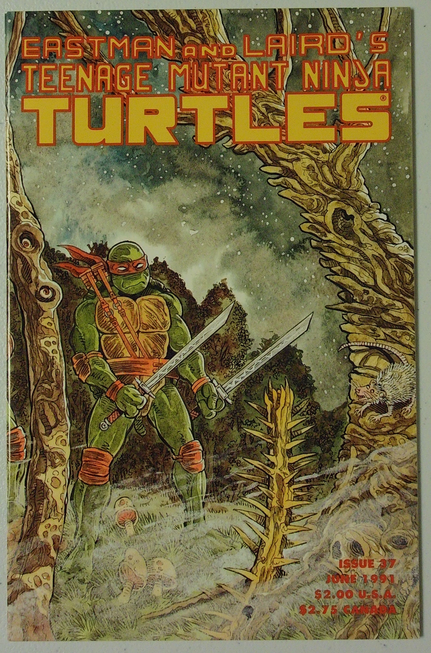 Teenage Mutant Ninja Turtles Vol 1 #37