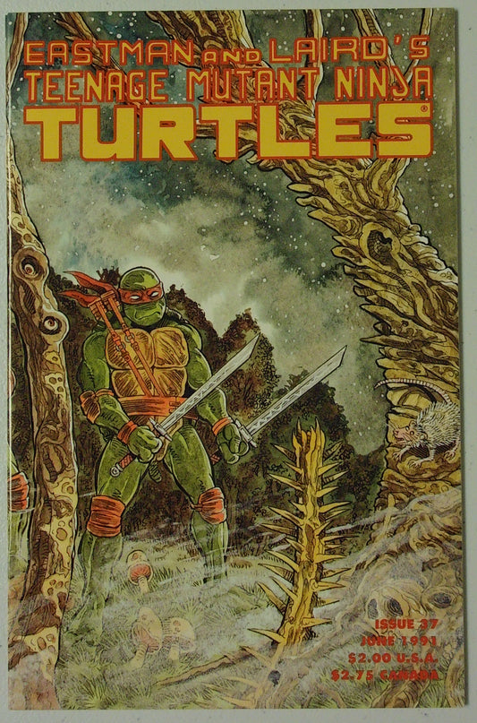 Teenage Mutant Ninja Turtles Vol 1 #37