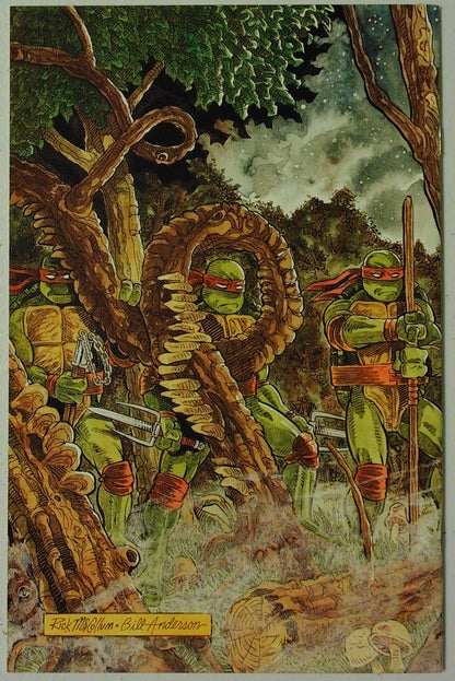 Teenage Mutant Ninja Turtles Vol 1 #37