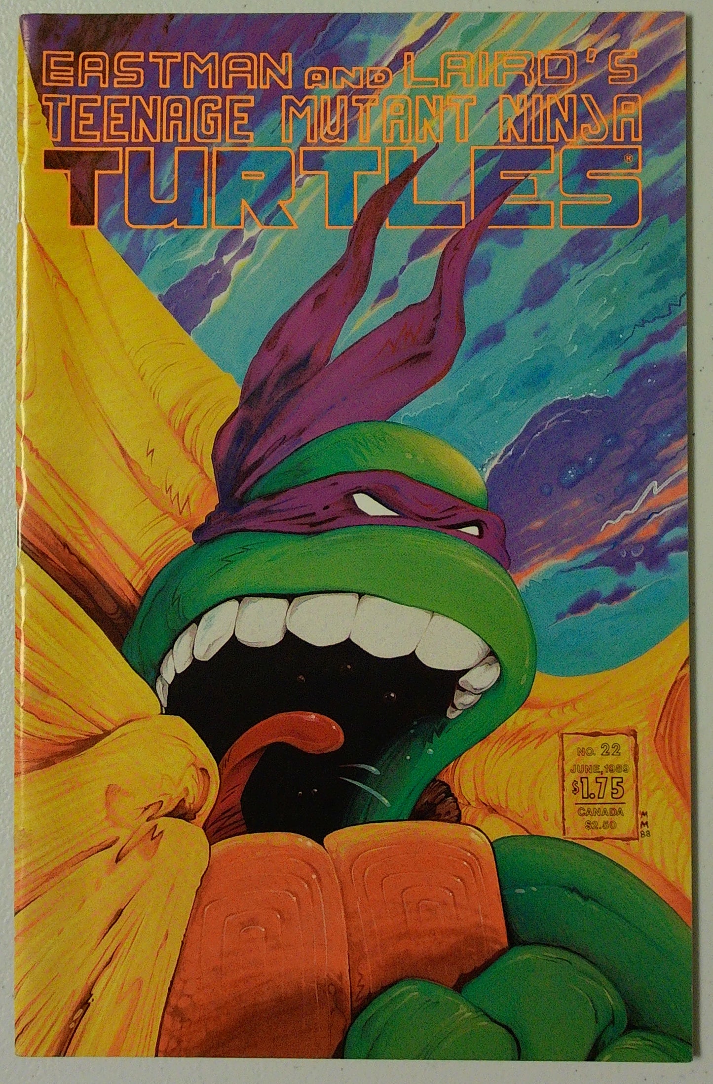 Teenage Mutant Ninja Turtles Vol 1 #22