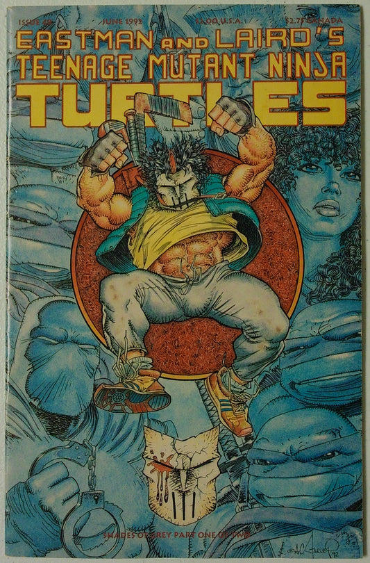 Teenage Mutant Ninja Turtles Vol 1 #48