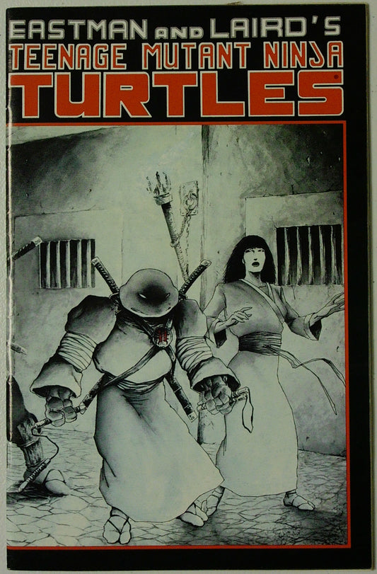Teenage Mutant Ninja Turtles Vol 1 #17