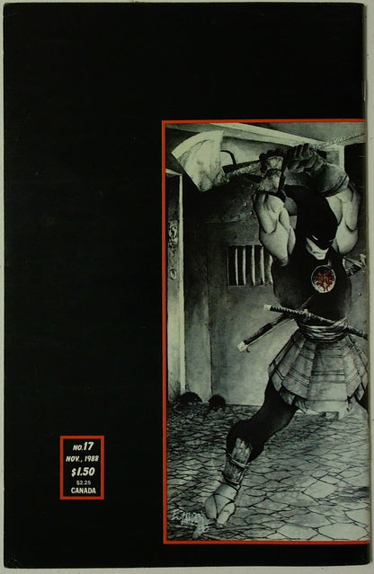 Teenage Mutant Ninja Turtles Vol 1 #17