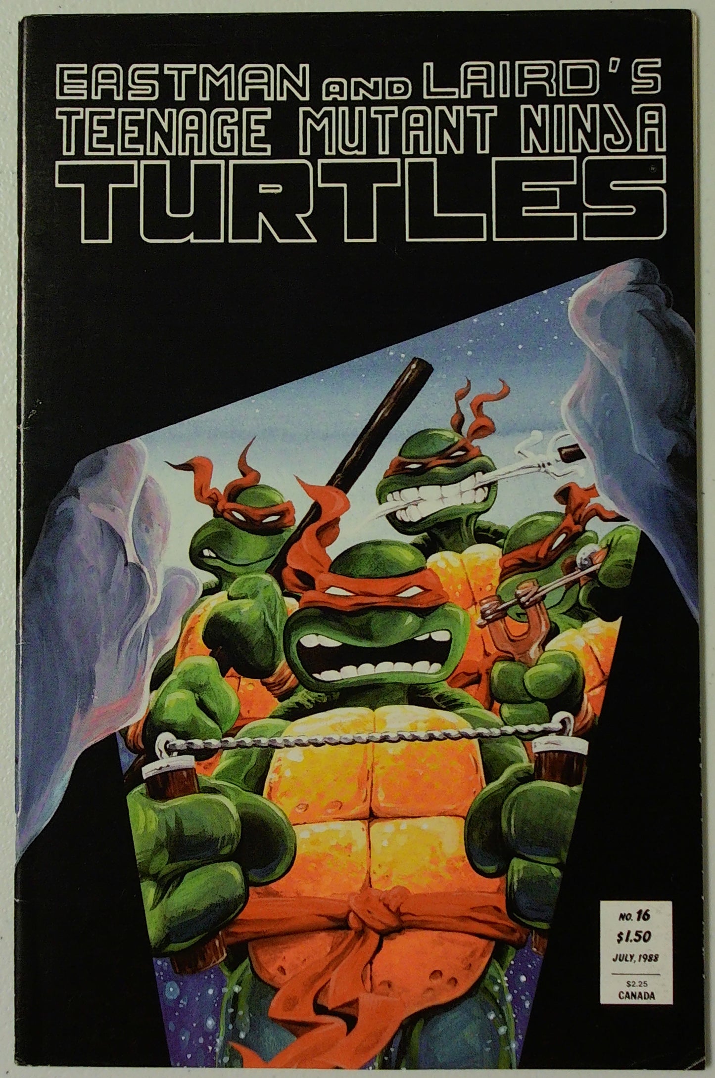 Teenage Mutant Ninja Turtles Vol 1 #16