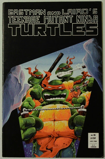 Teenage Mutant Ninja Turtles Vol 1 #16