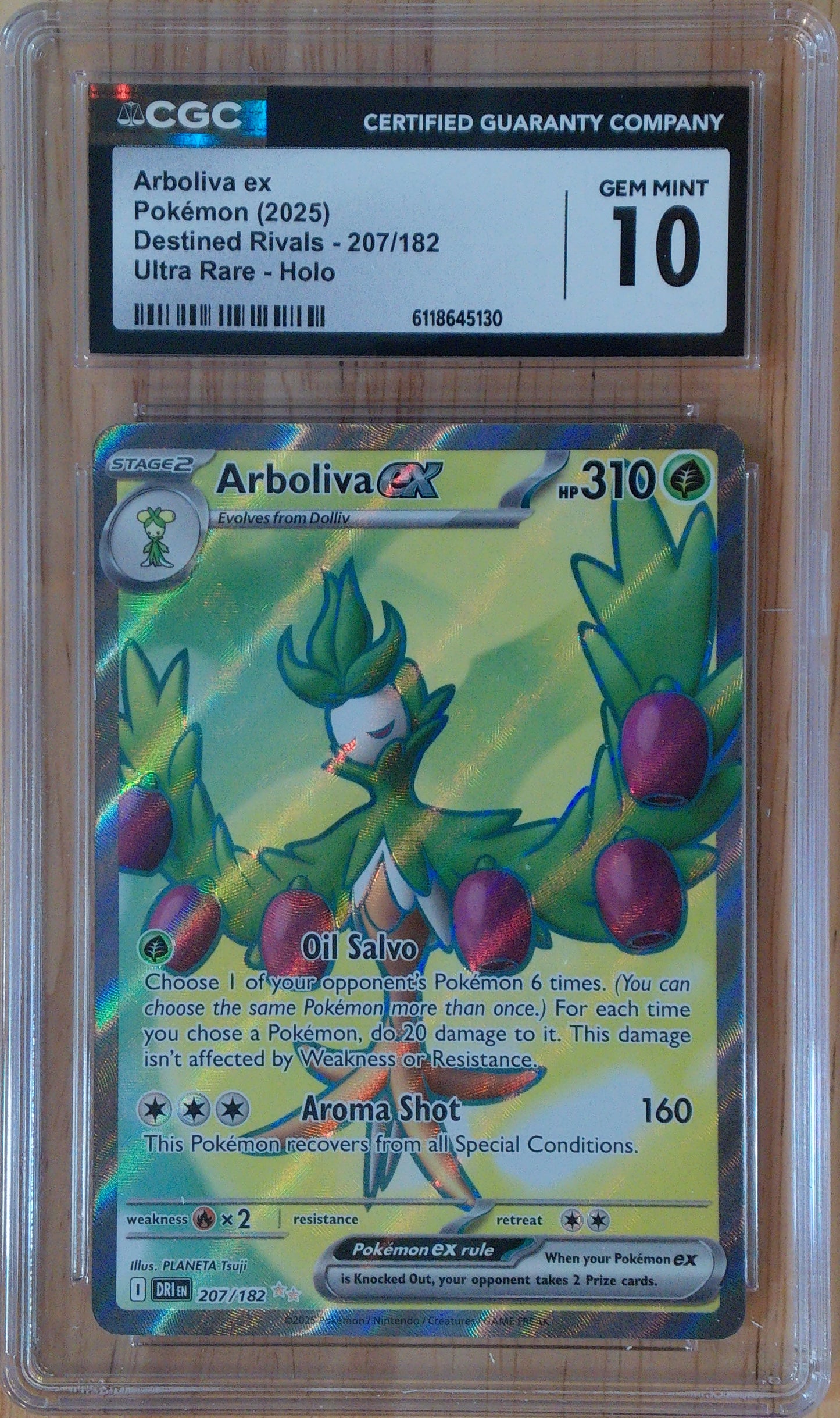 Arboliva Ex #207/185 - Destined Rivals - CGC 10 Gem Mint - Ultra Rare Holo