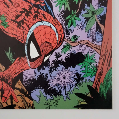 Spider-Man #08